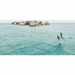 Pack F-one Rocket Wing ASC + Foil Phantom FCT + Swing 2022 -KITE-SPIRIT Soldes planche wingfoil f one rocket wing asc 9